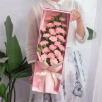 幸福安康-19朵粉色康乃馨礼盒