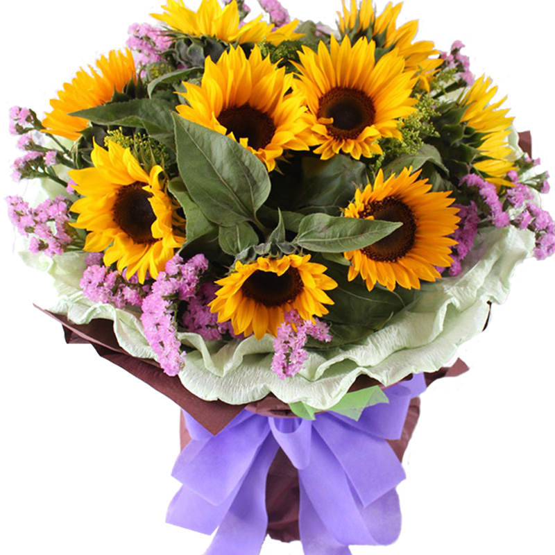 希望你快乐-9朵向日葵花束