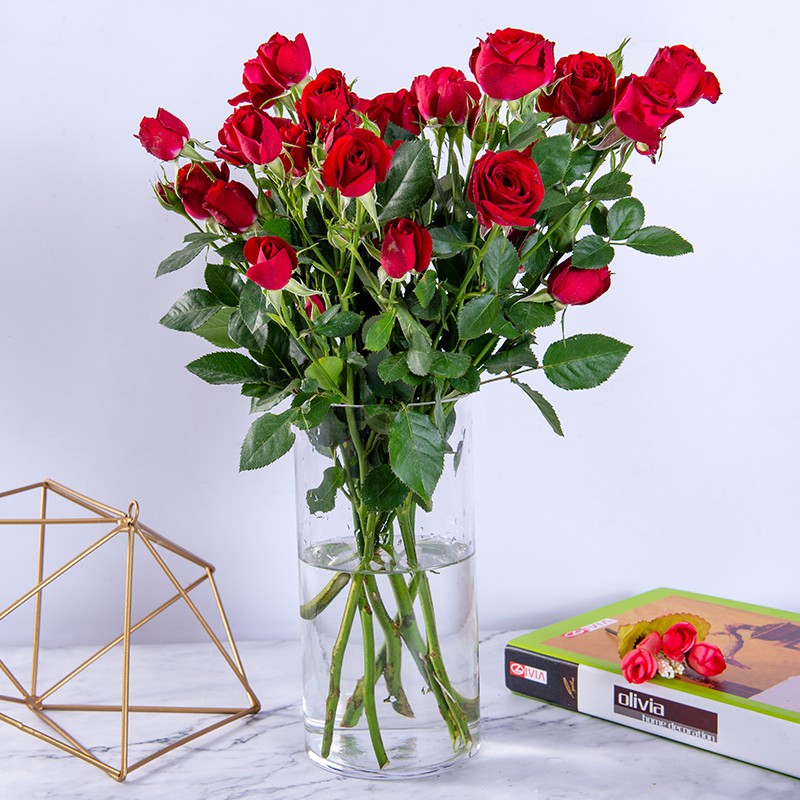 基地直发10枝霓虹泡泡多头玫瑰